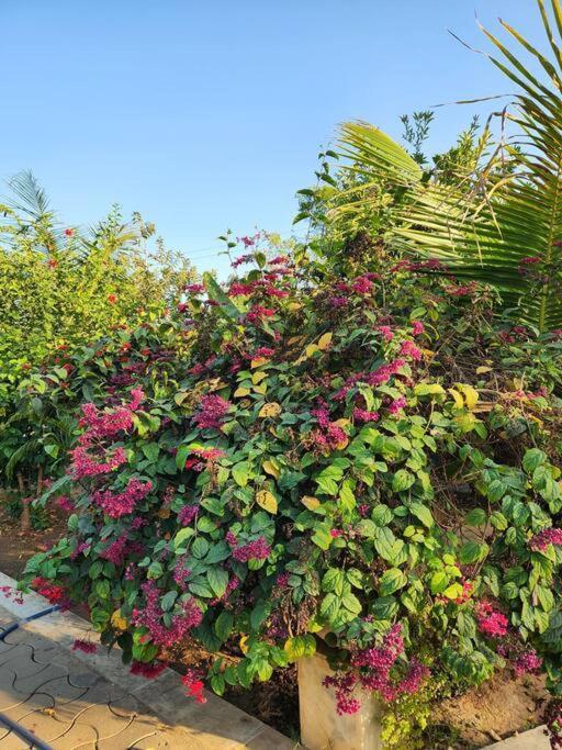 Farmhouse Close To Nature - Kesari Farm Gandhinagar Exterior photo